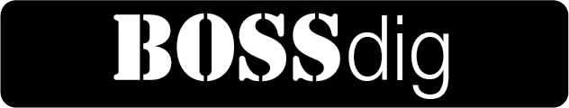 BOSSDig2