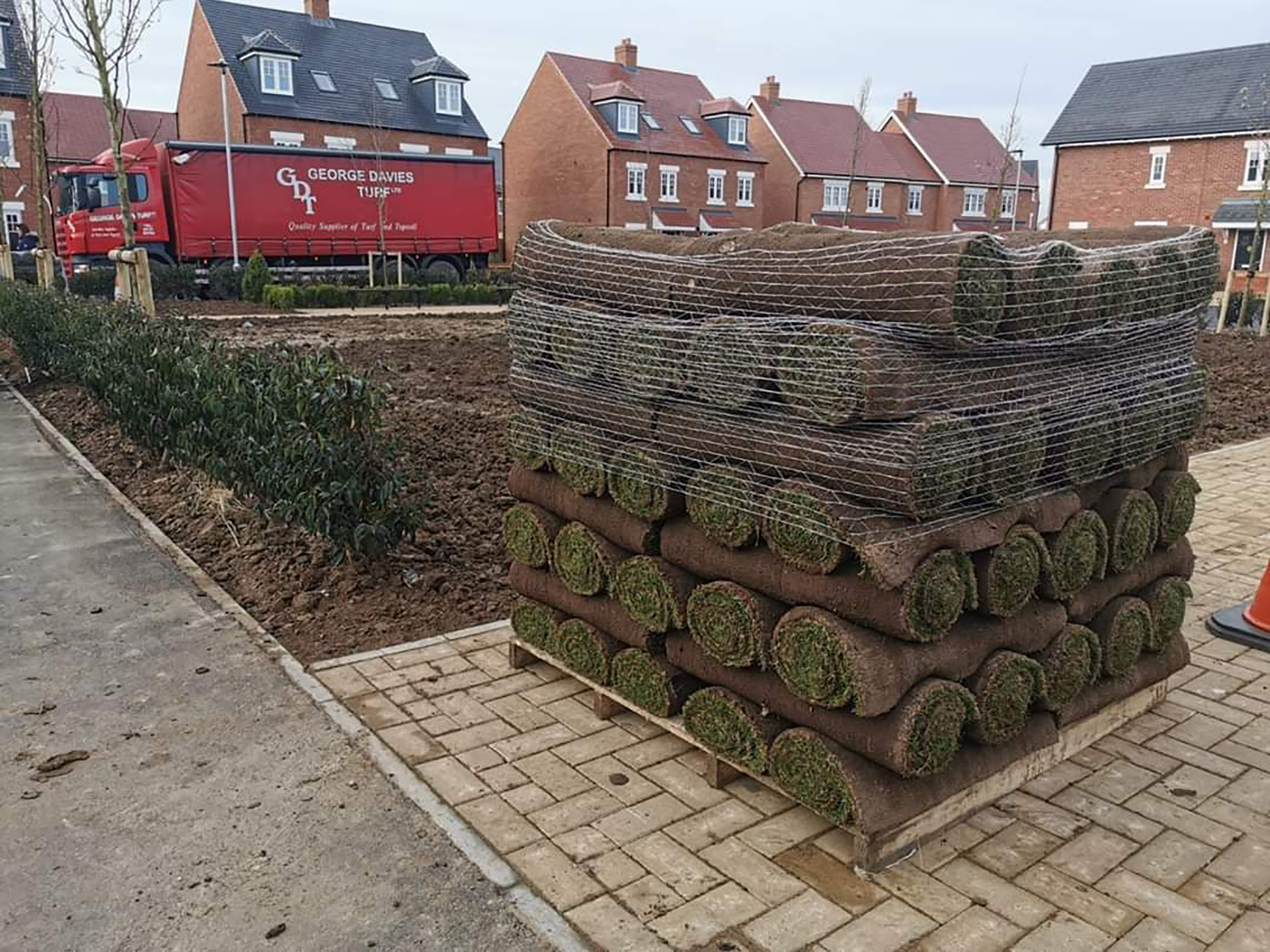 Turf 01